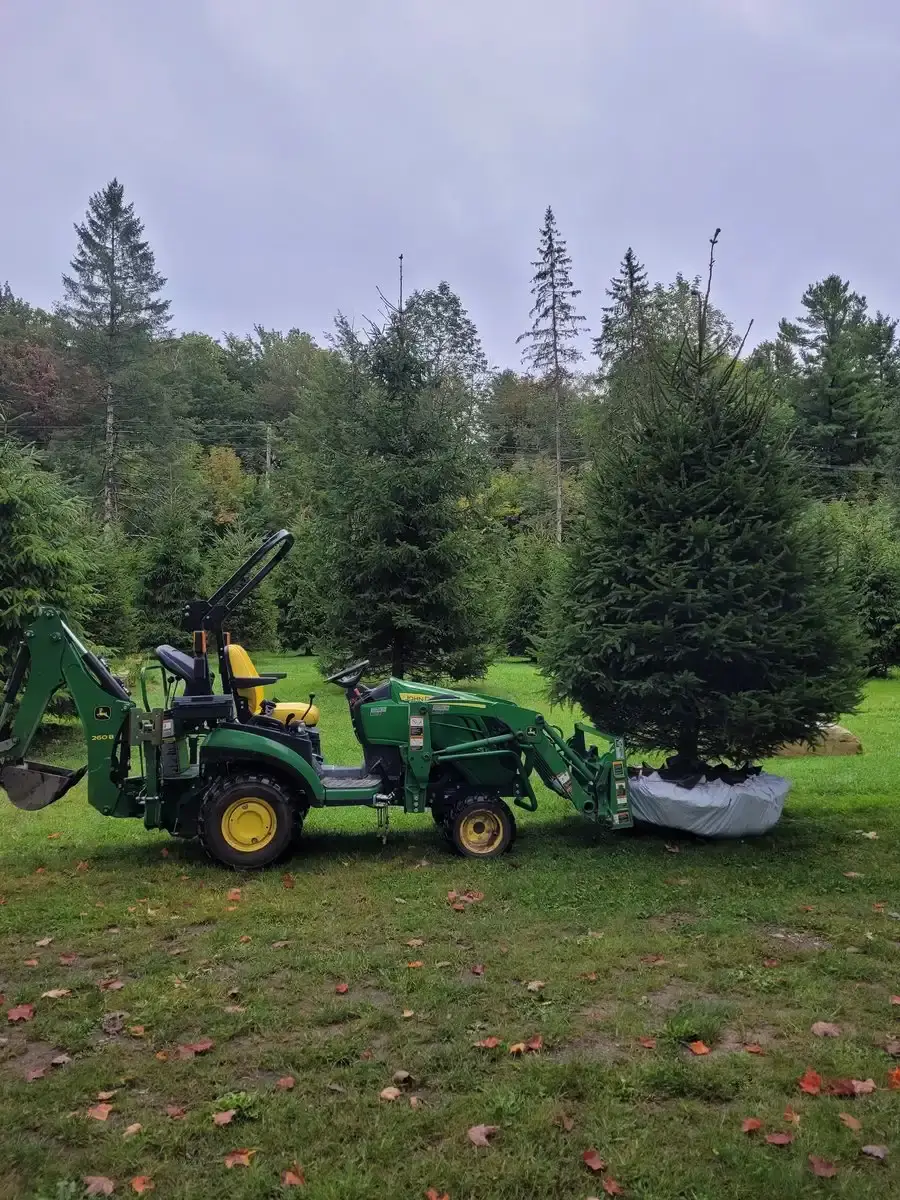 Plantation d'arbres — Mini-Excavation LCM