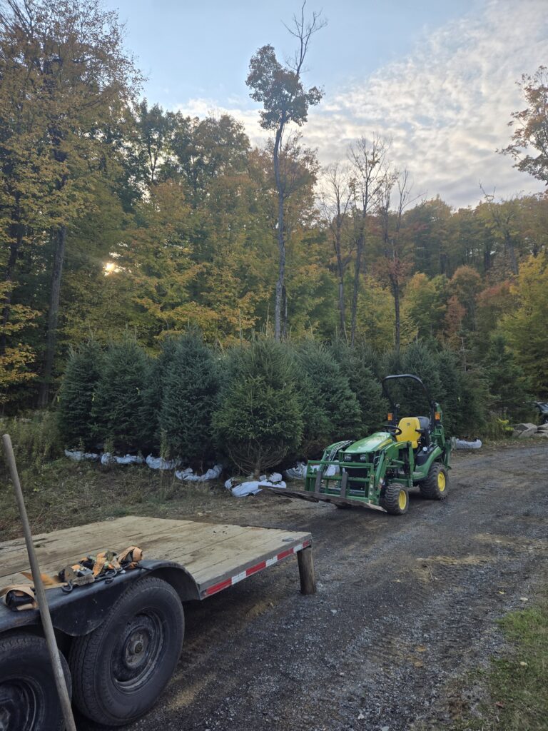 Plantation d'arbres — Mini-Excavation LCM